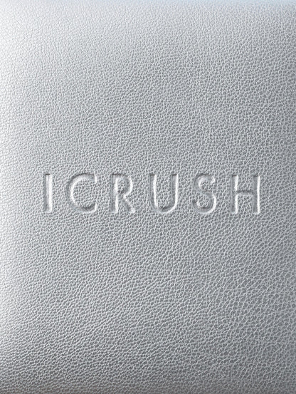 ICRUSH Travel Case Silver
