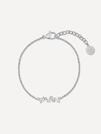 Silber