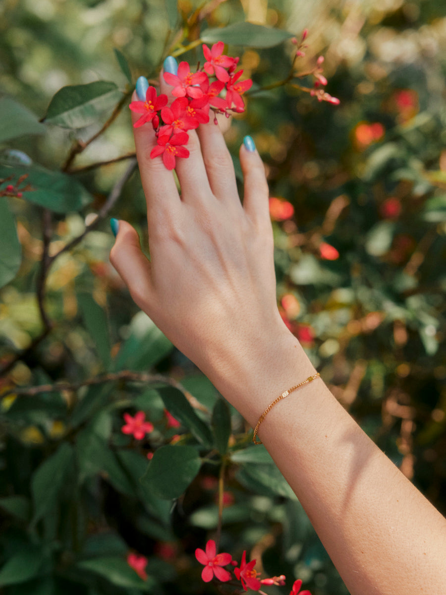Segment Shine ARMBAND