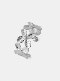 Silber
