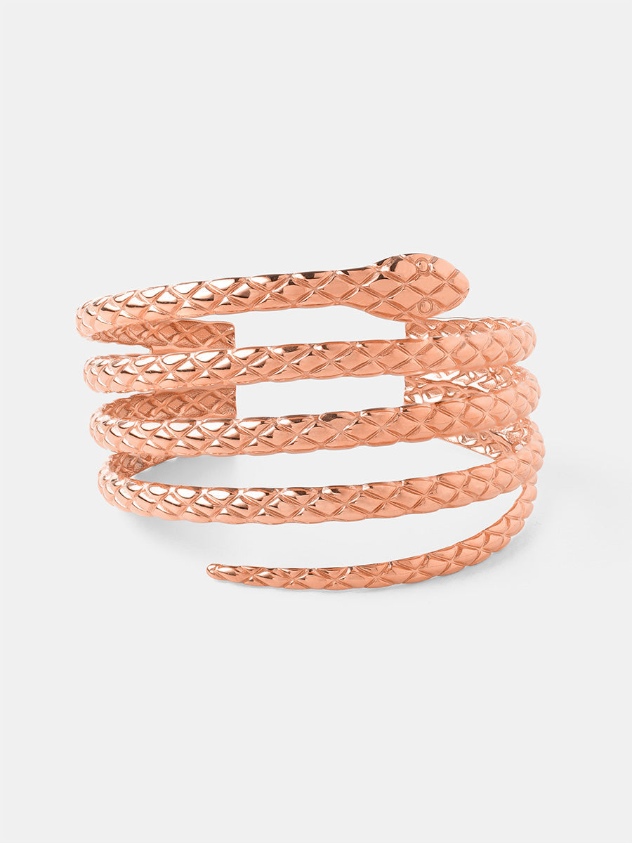 Mysterious Snake Armcuff