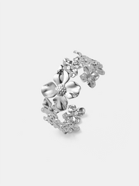 Silber