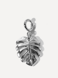 Silber