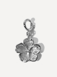 Silber
