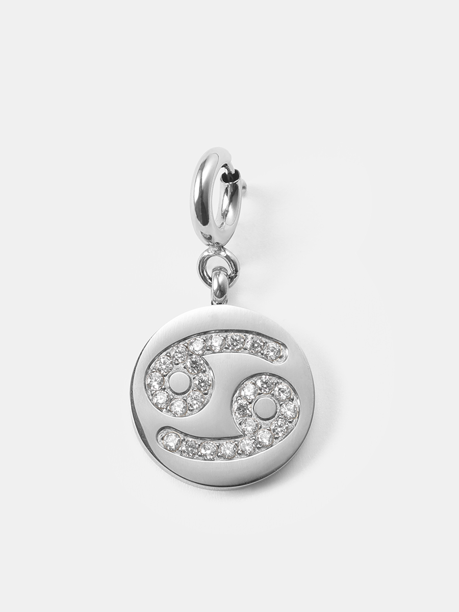 Twinkling Zodiac Ketten-Charms