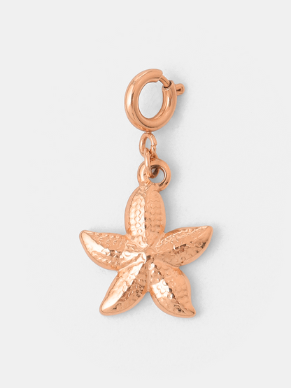 Coast Star Ketten-Charm