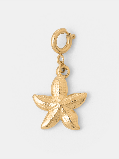 Coast Star Ketten-Charm