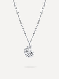 Silber