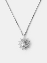 Silber