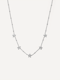 Silber