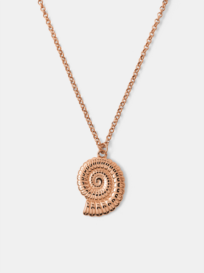 Seashell Treasure Kette
