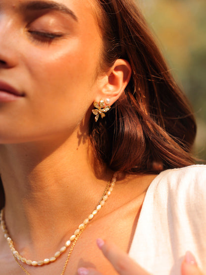 Sea Shell Kette