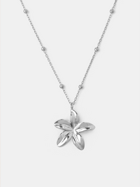 Silber