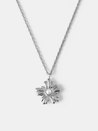 Silber