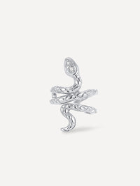Silber