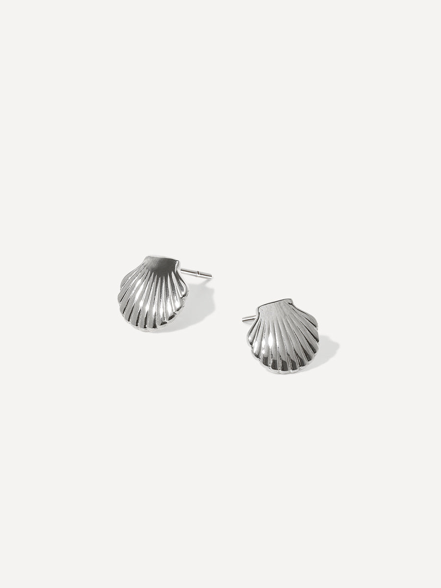 Pure Shell Ohrringe