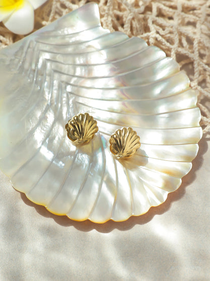 Shell Melody Ohrringe