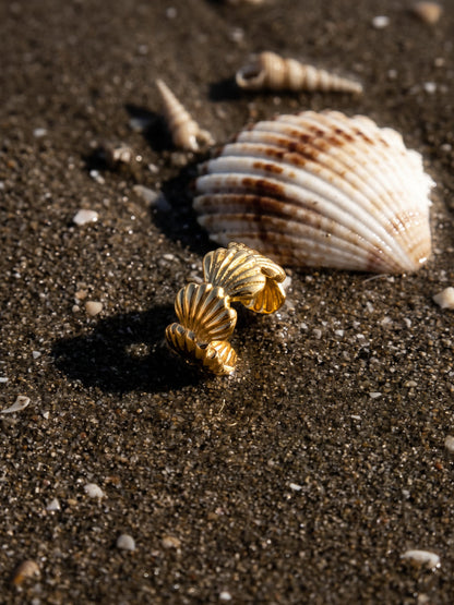 Shell Dream Earcuff