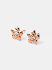18K rosévergoldet