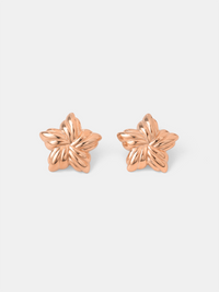 18K rosévergoldet
