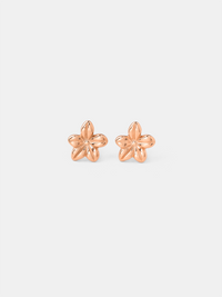 18K rosévergoldet