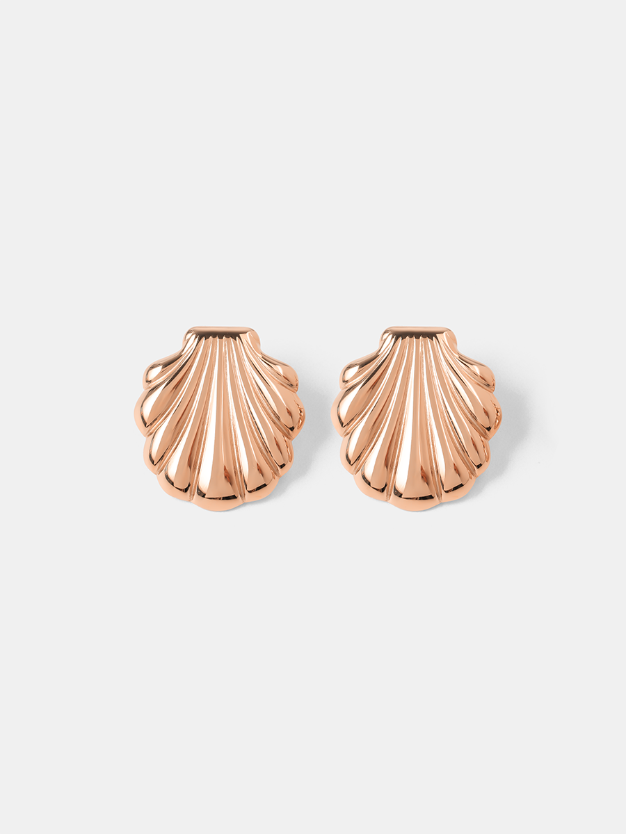 Elegant Shell Ohrringe