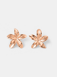 18K rosévergoldet