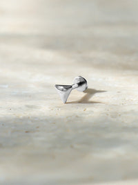 Silber