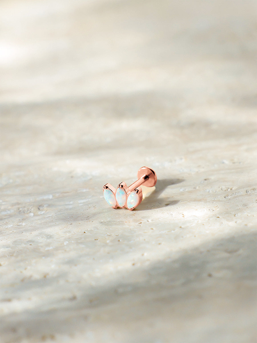 Oceanic Dream Titan Piercing