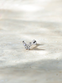 Silber