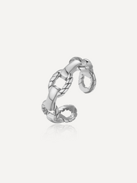 Silber