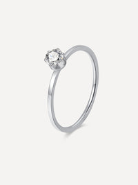 Silber