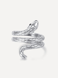 Silber