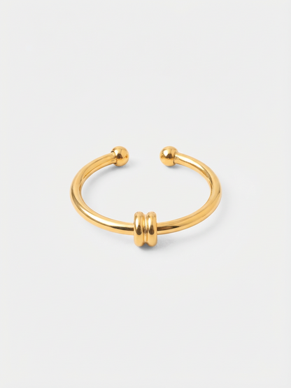 Elegant Duo Loop Ring