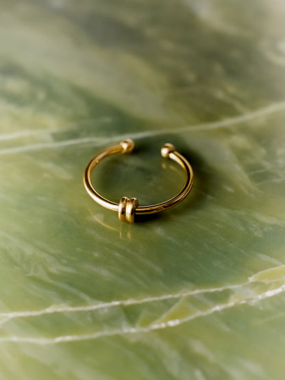 Elegant Duo Loop Ring