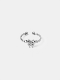 Silber