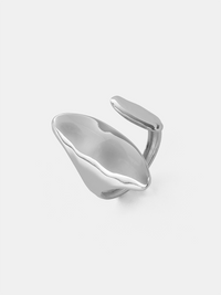 Silber