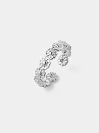 Silber