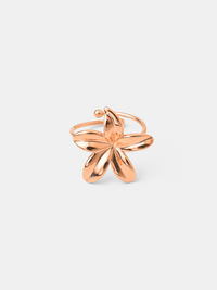 18K rosévergoldet